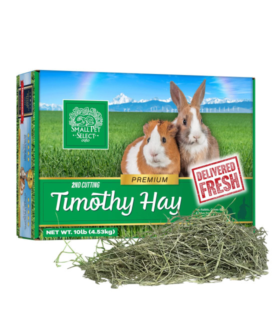 Small Pet Select 2nd cutting Perfect Blend Timothy Hay Pet Food for Rabbits, guinea Pigs, chinchillas and Other Small Animals, Premium Natural Hay grown in The US, 10 LB