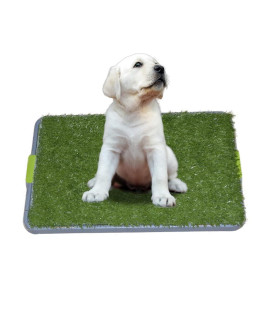 Dog Potty with Artificial Grass-Reusable 3-Layer Synthetic Training Tray That Acts Like a Dog Litterbox-Fake Grass That Dogs Prefer Over Dog Pee Pads or Puppy Pad