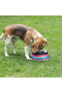 Road Refresher Non-Spill Pet Water Bowl Small Grey SGRR