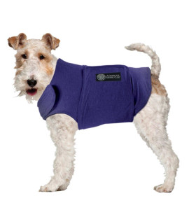 American Kennel Club Anti Anxiety and Stress Relief Calming Coat for Dogs, Extra Small, Blue