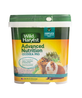 Wild Harvest Wh-83545 Wild Harvest Advanced Nutrition Diet For Guinea Pigs, 4.5-Pound