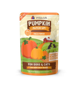 Weruva Pumpkin Patch Up!, Pumpkin Puree Pet Food Supplement for Dogs & Cats, 1.05 Ounce (Pack of 12), Orange (0805)