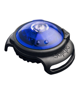 Orbiloc Dual Flashing/Solid Safety LED Light for Dogs - High Visibility Durable Water Proof Impact Resistant Attach to Harnesses & Collar - Blue