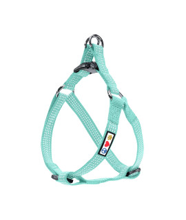 Pawtitas Reflective Step in Dog Harness or Reflective Vest Harness, Comfort Control, Training Walking of Your Puppy/Dog Small Dog Harness S Teal Dog Harness