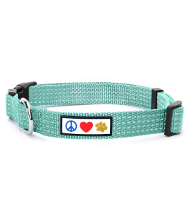 Pawtitas Reflective Dog Collar with Stitching Reflective Thread Reflective Dog Collar with Buckle Adjustable and Better Training Great Collar for Small Dogs - Teal Collar