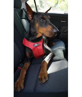 Sleepypod ClickIt Sport Crash-Tested Car Safety Dog Harness (Medium, Strawberry Red)