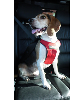 Sleepypod ClickIt Sport Crash-Tested Car Safety Dog Harness (Large, Strawberry Red)