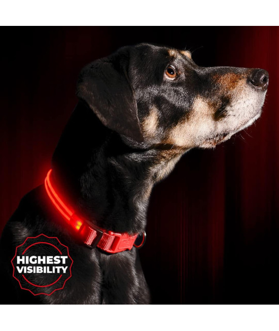 ILLUMISEEN LED Light Up Dog Collar - Bright & High Visibility Lighted Glow Collar for Pet Night Walking - USB Rechargeable - Weatherproof, in 6 Colors