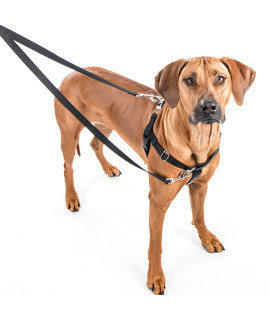 Freedom No-Pull Dog Harness Training Package, Medium (1 Wide), Neon Orange