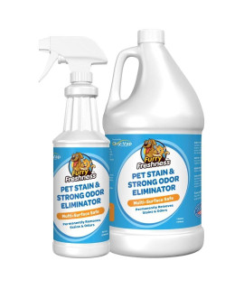 FurryFreshness Extra Strength Cat or Dog Pee Stain & Permanent Odor Remover + Smell Eliminator -Removes Stains from Pets & Kids Including Urine or Blood- Lifts Old Carpet Stains- 32oz Spray & 1 Gallon