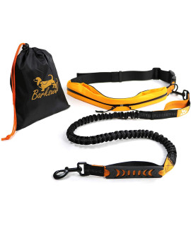 Hands Free Running Dog Leash - Dog Walking Belt Reflective with Double Sided Lined Pouch - Up to 60 Kg - great for Handsfree Running, Jogging or Walking