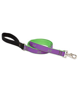 LupinePet club 1 Hampton Purple 6-Foot Padded Handle Leash for Medium and Larger Dogs