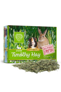 Small Pet Select 1st Cut Timothy Hay Pet Food for Rabbits, Guinea Pigs, and Other Small Animals, Easy to Store Box, 10 LB