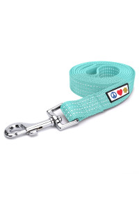 Pawtitas 6 FT Pet Puppy Leash Reflective Dog Leash Comfortable Handle Highly Reflective Threads Heavy Duty Dog Training Leash Available as a 6 ft Small Dog Teal Leash