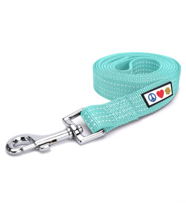 Pawtitas 6 FT Pet Puppy Leash Reflective Dog Leash Comfortable Handle Highly Reflective Threads Heavy Duty Dog Training Leash Available as a 6 ft Small Dog Teal Leash