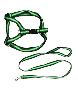 Iconic Pet Rainbow Adjustable Harness with Leash green Small