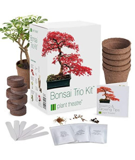 Plant Theatre Bonsai Tree Kit - Indoor Plant growing Kit w 3 Mini Bonsai Seed Packs, 6 Pots, 6 Peat Discs and 6 Propagator Bags - gardening gifts for Men, Women and Room Decor - crafts for Adults