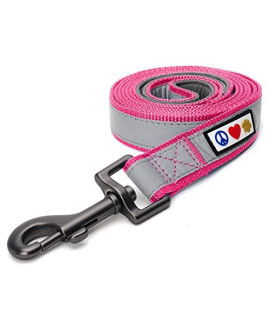 Pawtitas 6 FT Padded Dog Leash with Comfortable Neoprene Padding Handle - Pink Lead Small Reflective Dog Leash with Highly Reflective Band Perfect for Extra Small and Small Dogs and Puppies.