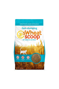 sWheat Scoop Fast-Clumping All-Natural Cat Litter, 14lb Bag