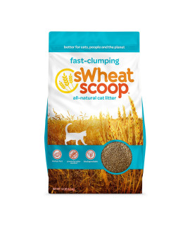 sWheat Scoop Fast-Clumping All-Natural Cat Litter, 14lb Bag