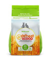 sWheat Scoop Wheat-Based Natural Cat Litter, Multi-Cat, 36 Pound Bag