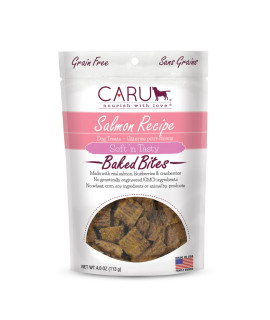 CARU - Soft 'n Tasty Baked Bites - Salmon Bites Dog Treats - Flavorful Training Treats - 4 oz