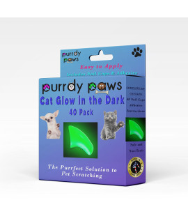 Purrdy Paws 40 Pack Soft Nail Caps for Cat Claws Green Glow in The Dark Kitten