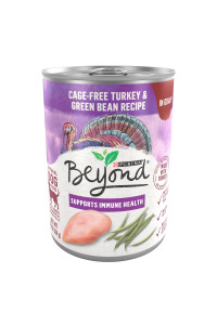 Purina Beyond Grain Free Gravy Wet Dog Food, Grain Free Turkey & Green Bean Recipe in Gravy - (12) 12.5 oz. Cans