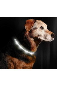 LED Dog Necklace Collar - USB Rechargeable Loop - Available in 6 Colors - Makes Your Dog Visible, Safe & Seen