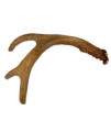 Big Dog Antler Chews - Deer Antler Dog Chew, Medium, 9 Inches to 13 Inches Long. Perfect for Your Medium to Large Size Dogs and Puppies! Grade A Premium. Happy Dog Guarantee!