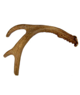Big Dog Antler Chews - Deer Antler Dog Chew, Medium, 9 Inches to 13 Inches Long. Perfect for Your Medium to Large Size Dogs and Puppies! Grade A Premium. Happy Dog Guarantee!