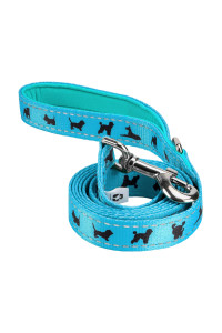 EcoBark Dog Leash - Soft & Reflective Comfort Training Leashes with Padded Handle - Strong Durable Heavy Duty - Training and Pulling for Small, Medium or Large Dogs (Sky Blue)