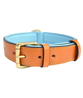 Soft Touch Collars Leather Padded Dog Collar, Large Tan with Teal Padding, Real Genuine Leather, 24 Long x 1.5 Wide, Neck Size 18 to 21