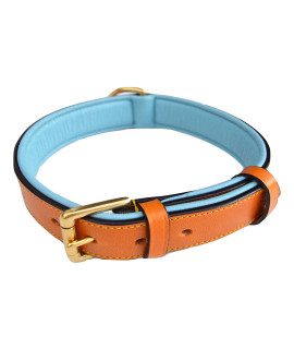 Soft Touch Collars Padded Leather Dog Collar, Tan and Teal, Size Medium, 20 Long x 1 Wide, Neck Size 14.5 to 17.5 Inches