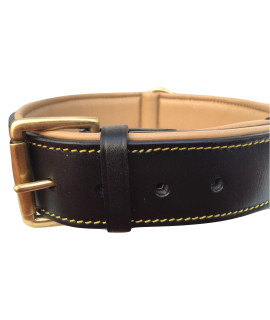 Soft Touch Collars Black Leather Padded Dog Collar with Heavy Duty Brass Buckle, Size XLarge, 28 Long x 1.75 Wide, Neck Size Fits 22 to 25 Inches