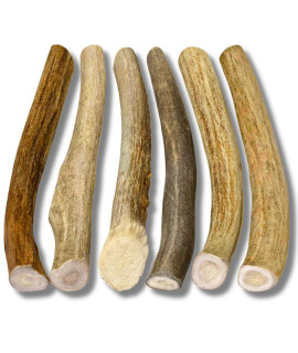 WhiteTail Naturals - Antlers for Small Dogs (6 Pack) Deer Antler Dog Chew Bones for Small to Medium Aggressive Chewers - Long Lasting Horn Chew Toys - Naturally Shed