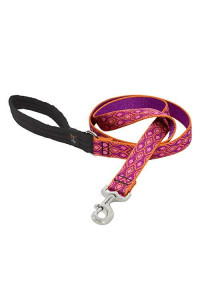 LupinePet Originals 1 Alpen glow 6-Foot Padded Handle Leash for Medium and Larger Dogs