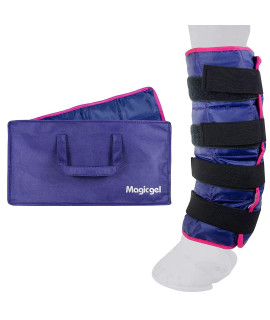 Horse Ice Pack with Carry Case - Cooling Leg Wrap for Hock, Ankle, Knee, Legs, Boots, and Hooves Single Ice Boot by Magic Gel