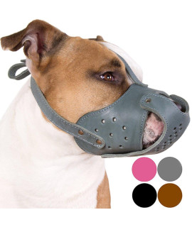 CollarDirect Dog Muzzle Pitbull Amstaff Basket Genuine Leather Staffordshire Terrier (Grey)