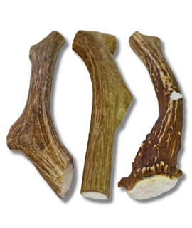 WhiteTail Naturals - (3 Pack Large - Deer Antlers for Large Dogs, Antler Dog Chews - Made in USA Dog Antler - Long Lasting Bone for Aggressive Chewers