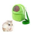 Portable Pet Carrier Bag, African Hedgehog Hamster Breathable Pet Carrier Handbags, Puppy Cat Travel Backpack (M, Green)