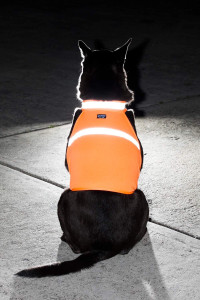 2PET Dog Hunting Vest and Safety Reflective Vest - Used for High Visibility - Protects Pets from Cars & Hunting Accidents in Both Urban and Rural Environments - Medium Radiant Orange