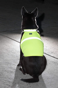2PET Dog Hunting Vest and Safety Reflective Vest - Used for High Visibility - Protects Pets from Cars & Hunting Accidents in Both Urban and Rural Environments - Small Beaming Yellow