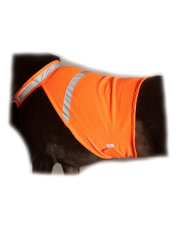 2PET Dog Hunting Vest and Safety Reflective Vest - Used for High Visibility - Protects Pets from Cars & Hunting Accidents in Both Urban and Rural Environments - Large Radiant Orange