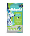 Solid Gold Leaping Waters - Dry Dog Food for Sensitive Stomach - Grain & Gluten Free - with Salmon & Vegetables - Digestive Probiotics for Gut Health - Omega, Superfood & Antioxidant Support for Dogs
