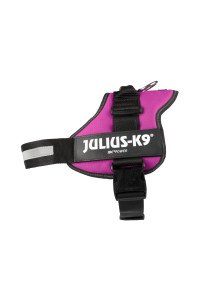 Julius-K9 Powerharness, 1, Dark Pink