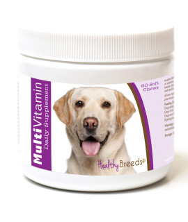 Healthy Breeds Labrador Retriever Multi-Vitamin Soft Chews 60 Count
