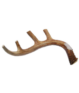 Big Dog Antler Chews Brand - XL Deer Antler Dog Chew - Extra Large, Jumbo, for Large Dogs and Puppies Who are Aggressive Chewers