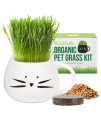 The Cat Ladies Organic Cat Grass Growing kit with Organic Seed Mix, Soil and White Cat Planter. Natural Hairball Control and Digestion Remedy for Cats