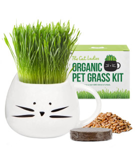The Cat Ladies Organic Cat Grass Growing kit with Organic Seed Mix, Soil and White Cat Planter. Natural Hairball Control and Digestion Remedy for Cats